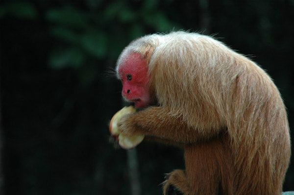 差15分钟就3点用英语怎么说?-我英语很差