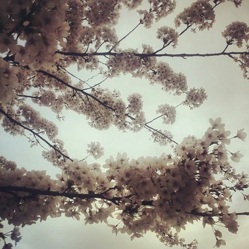 路痴要如何做才能变成很有方向感的人?-我是个