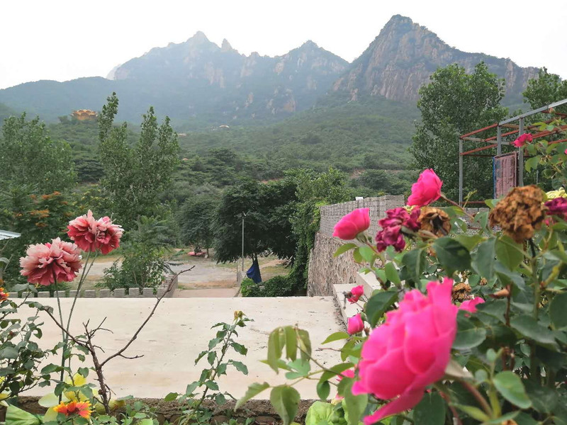 寻找"世外桃源"@秦皇岛清修莲花古寺