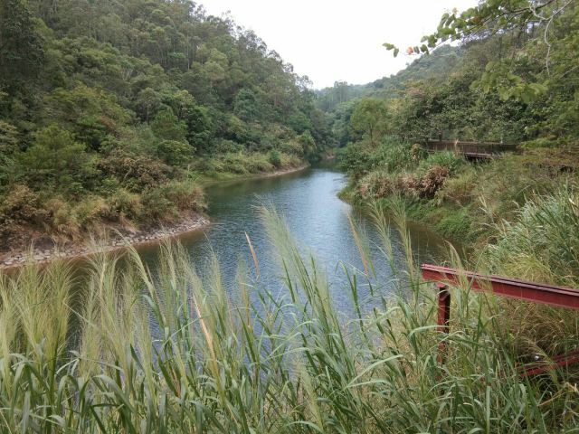 惠州红花湖攻略,惠州红花湖门票/游玩攻略/地址/图片/门票价格【携程