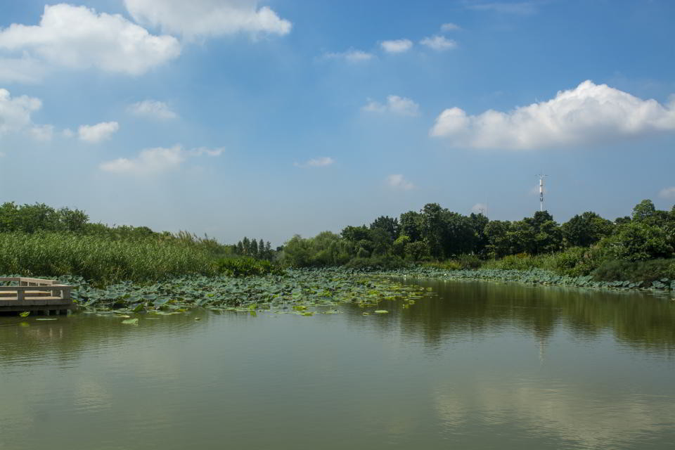 海珠湿地公园位于广州海珠区海珠湖公园东侧,两个景区相依不相连