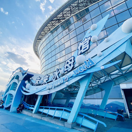 天津极地海洋公园一日游 天津极地海洋公园一日游