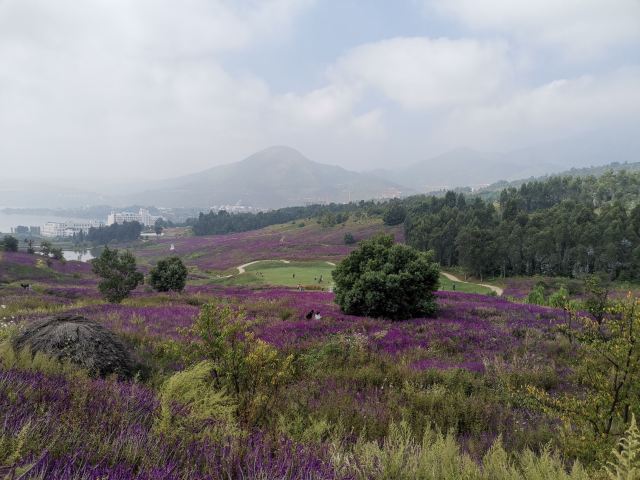 阳宗海旅游度假区