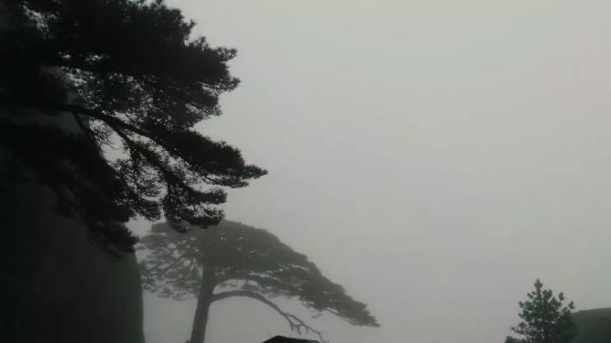 仁者之乐-黄山、普陀行(2016江南之五) - 黄山游