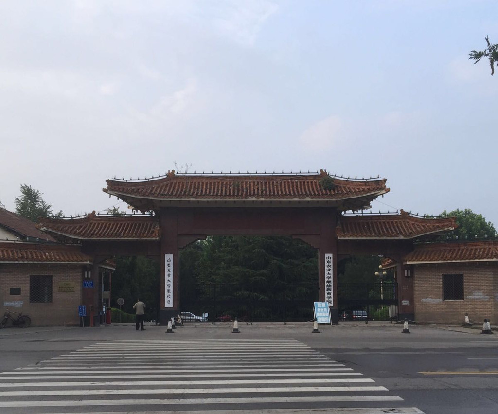 泰山,曲阜四天自由行(北京高铁出发)