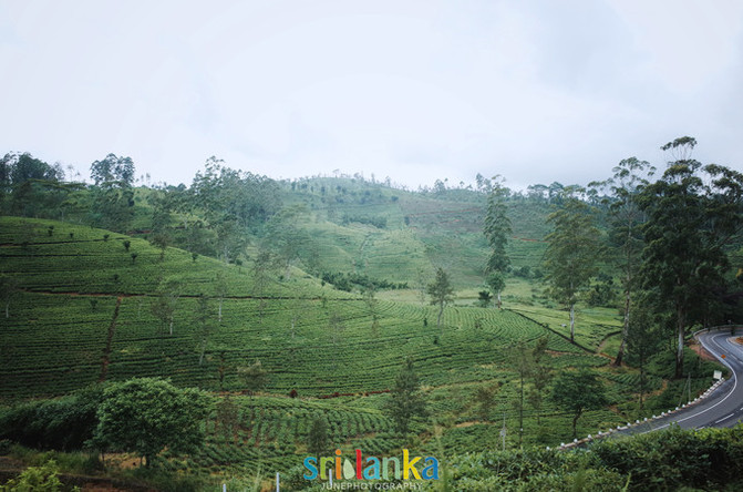 【败给坏天气,岂能败给好心情】--三十年一遇特