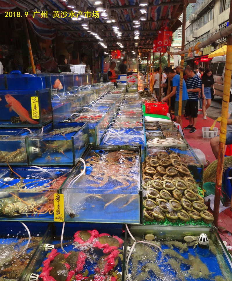 黄沙海鲜水产交易市场