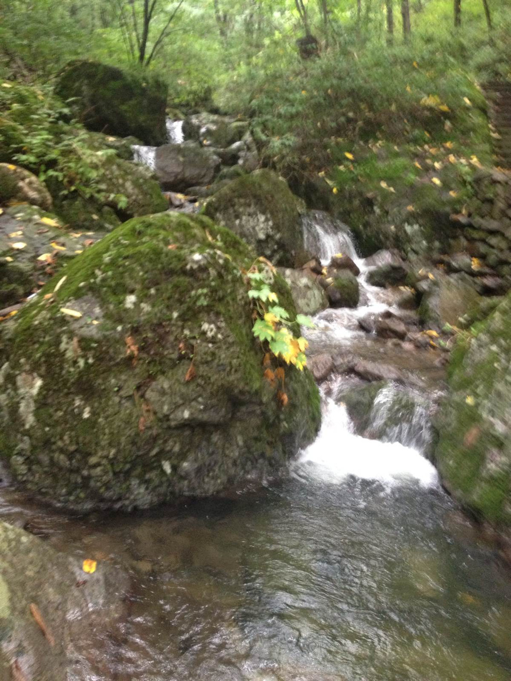 青山沟虎塘沟