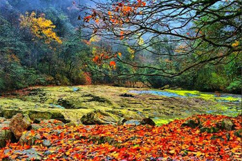 小草坝风景区