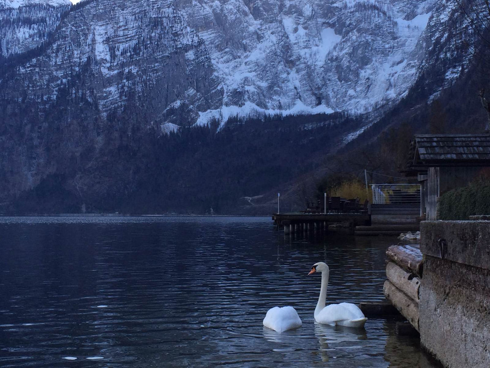 冬雪融化前德国浪漫之路七日自驾游 - 加米施游