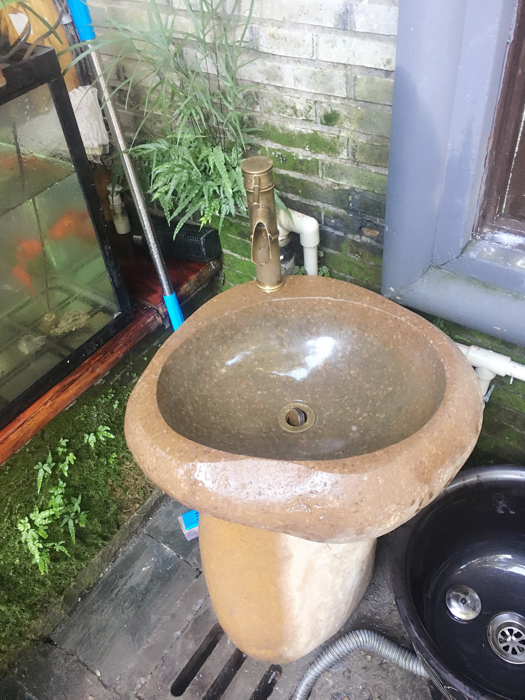 "苏州小院"——又一种苏州体验