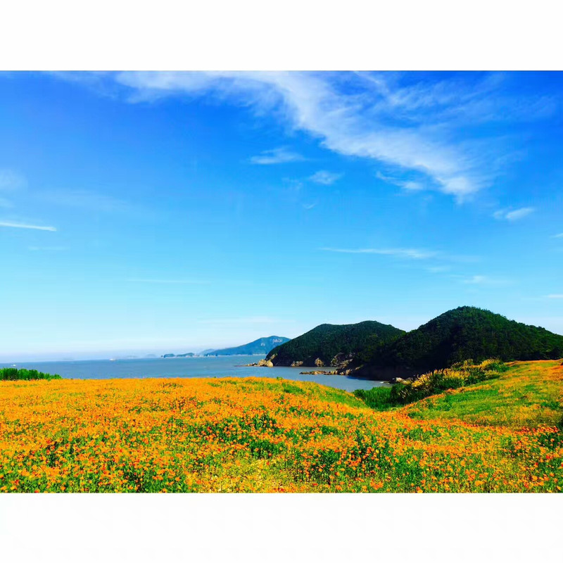 一个风景能秒杀电脑壁纸的新景区——宁波东海半边山风景区