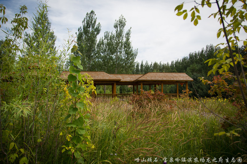 绥滨农场龙府热带植物园区