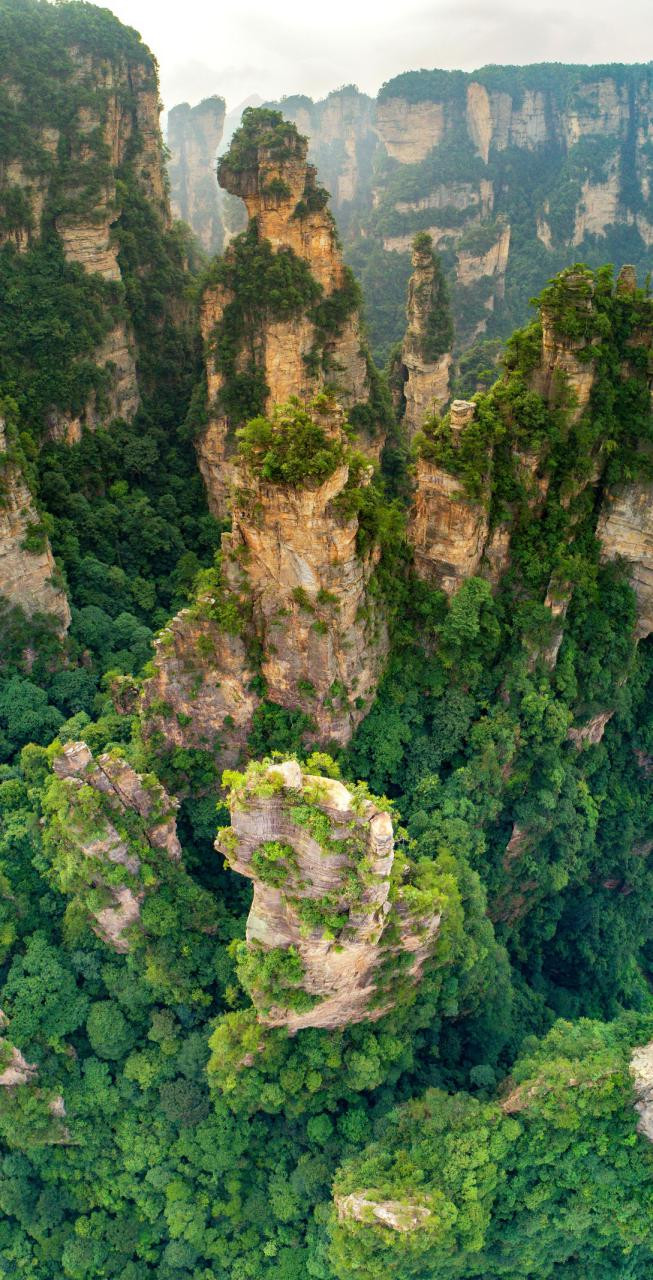 淡去浮华真盛景 武陵山水有相逢_张家界核心景区游记