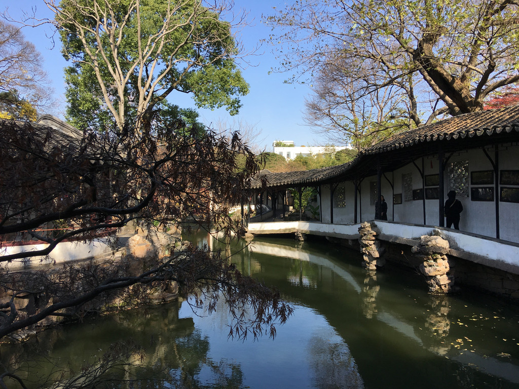 这是拙政园的标志性景点,借景,几千米外的北寺塔被借来园内,很神奇.