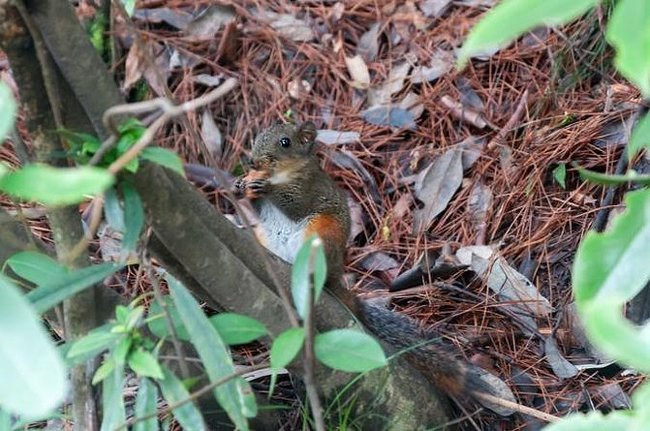 自助游张家界凤凰古城攻略-旅行就这么简单 - 