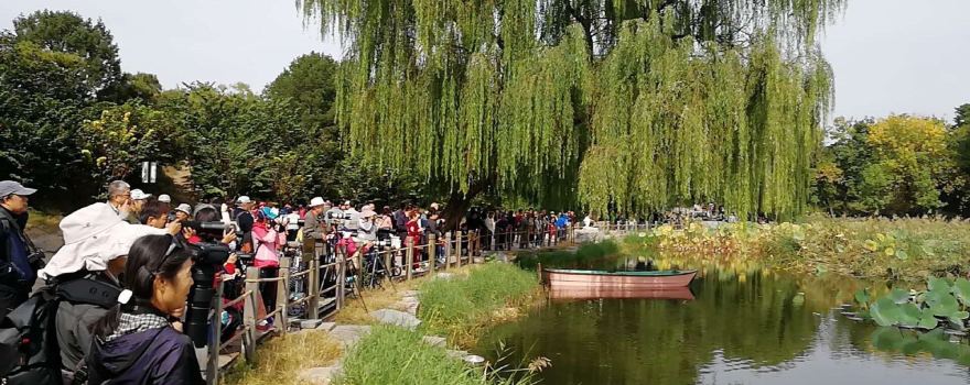 任丘旅游攻略