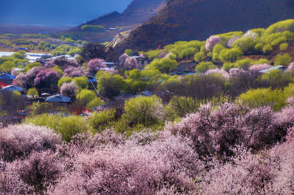 嘎拉村