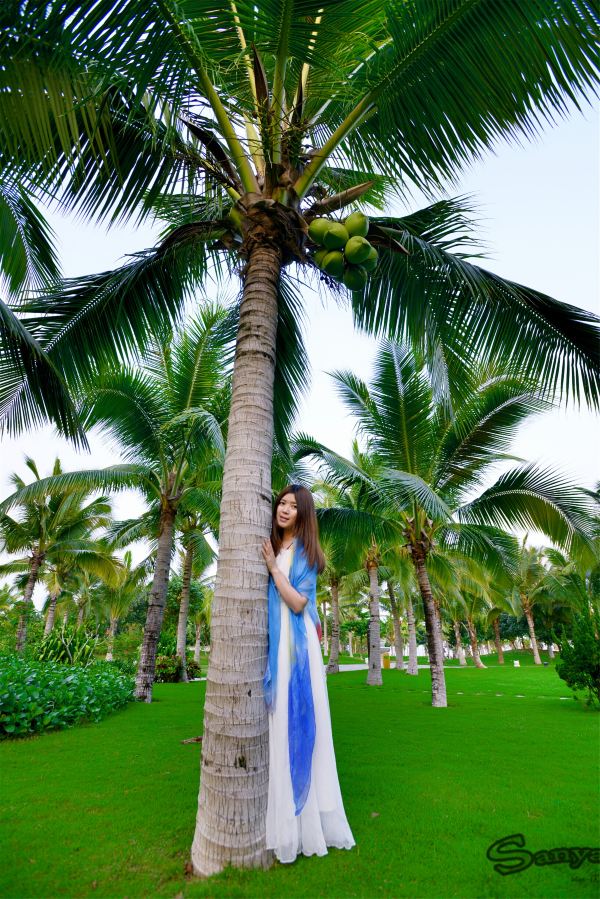 三亚,沉醉于北纬18度的幸福时光(海量图片)首发