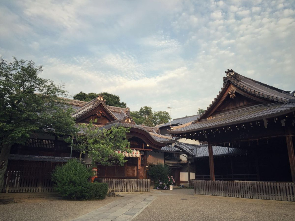 京都大阪奈良五日游