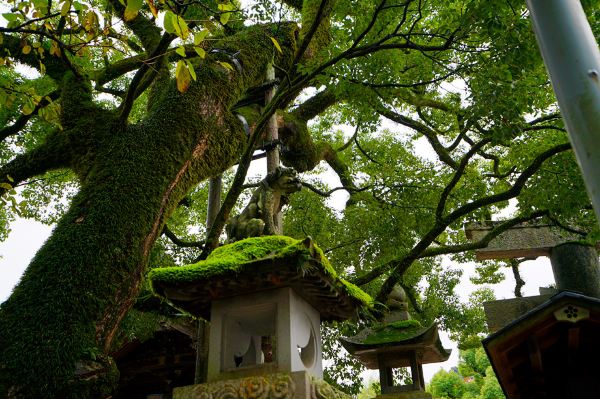 【歌诗达幸运号】三个女人的邮轮时光