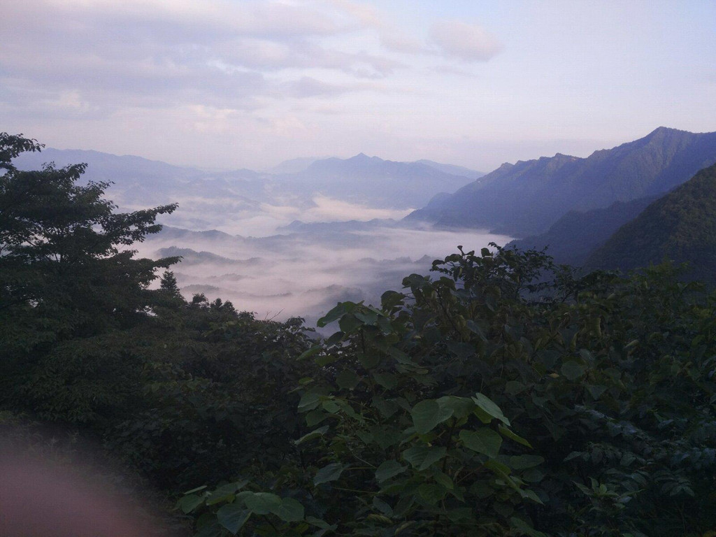 黄荆老林景点单一!普照山该开发一下来看日出云海!