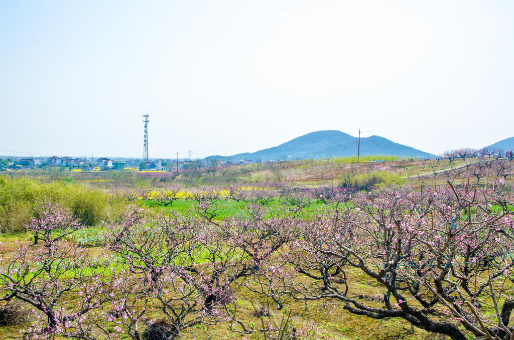 马鞍山桃花节# 谪仙诗魂依在,诗城桃花遍地开