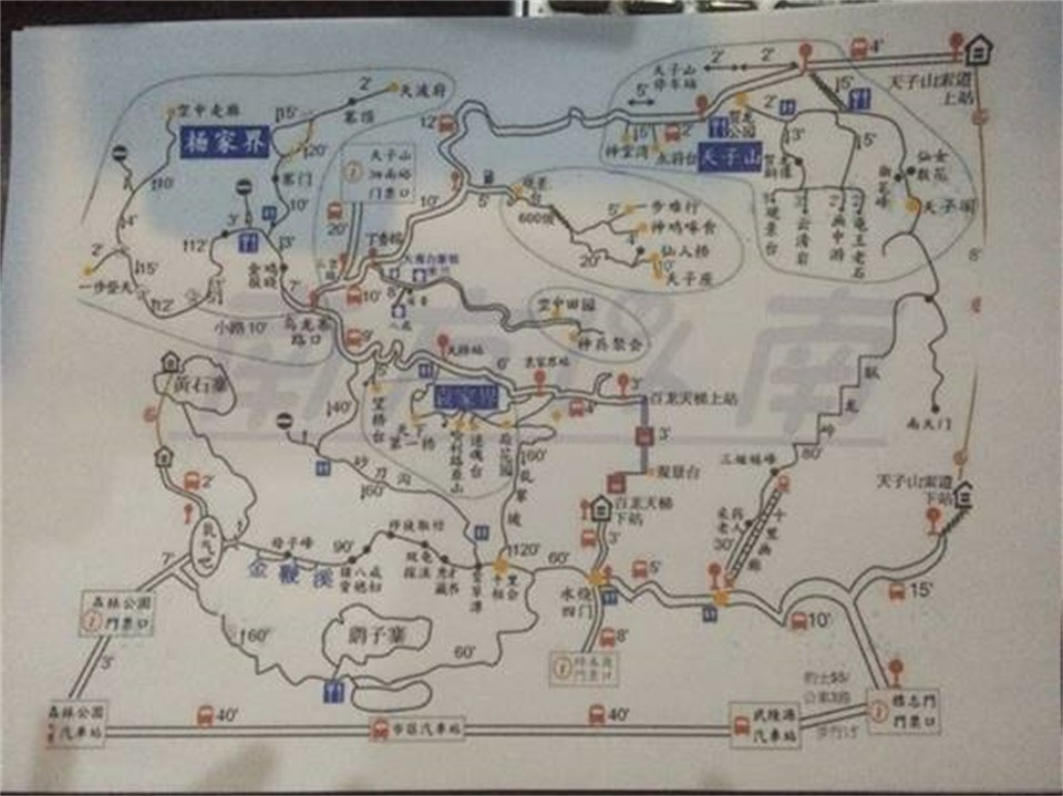 今天游览黄石寨,金鞭溪和