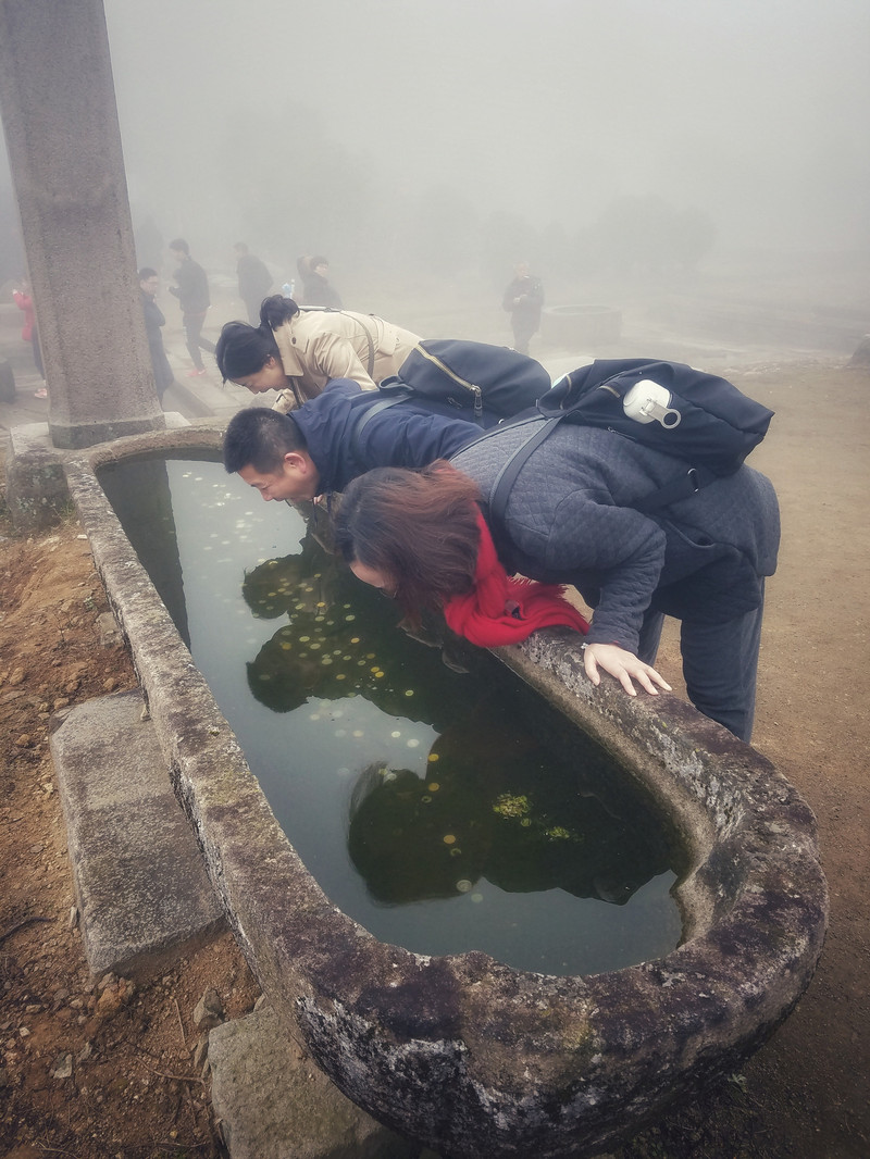 闽南潮汕饕餮之旅