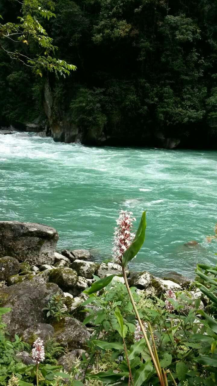 独龙江的那山那水