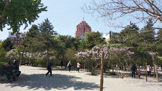 赤峰长青公园