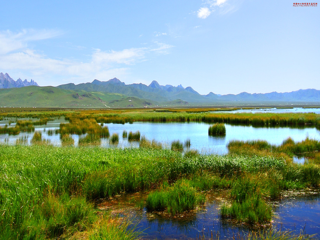 中国四川阿坝若尔盖花湖景区