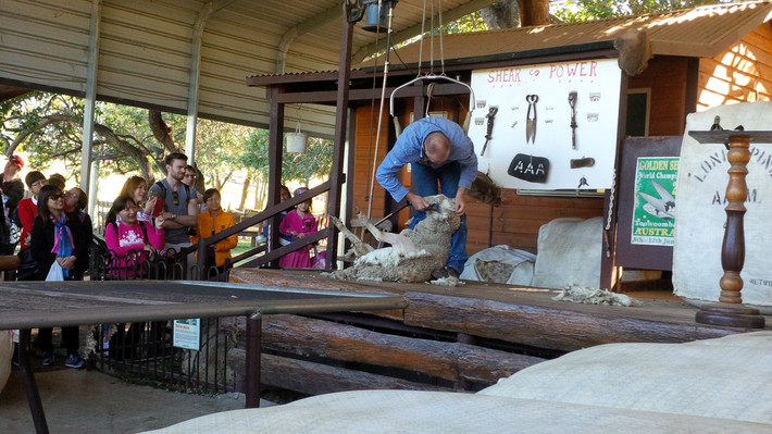 布里斯班 - 澳大利亚自由行之 冬季也温柔篇