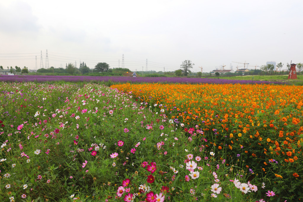 又见"初见香草园","常来常熟"去虞山,周末张家港,常熟再游记