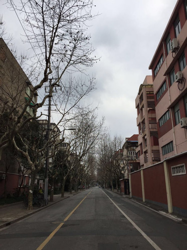 穿过空无一人的街道…沿着邯郸路