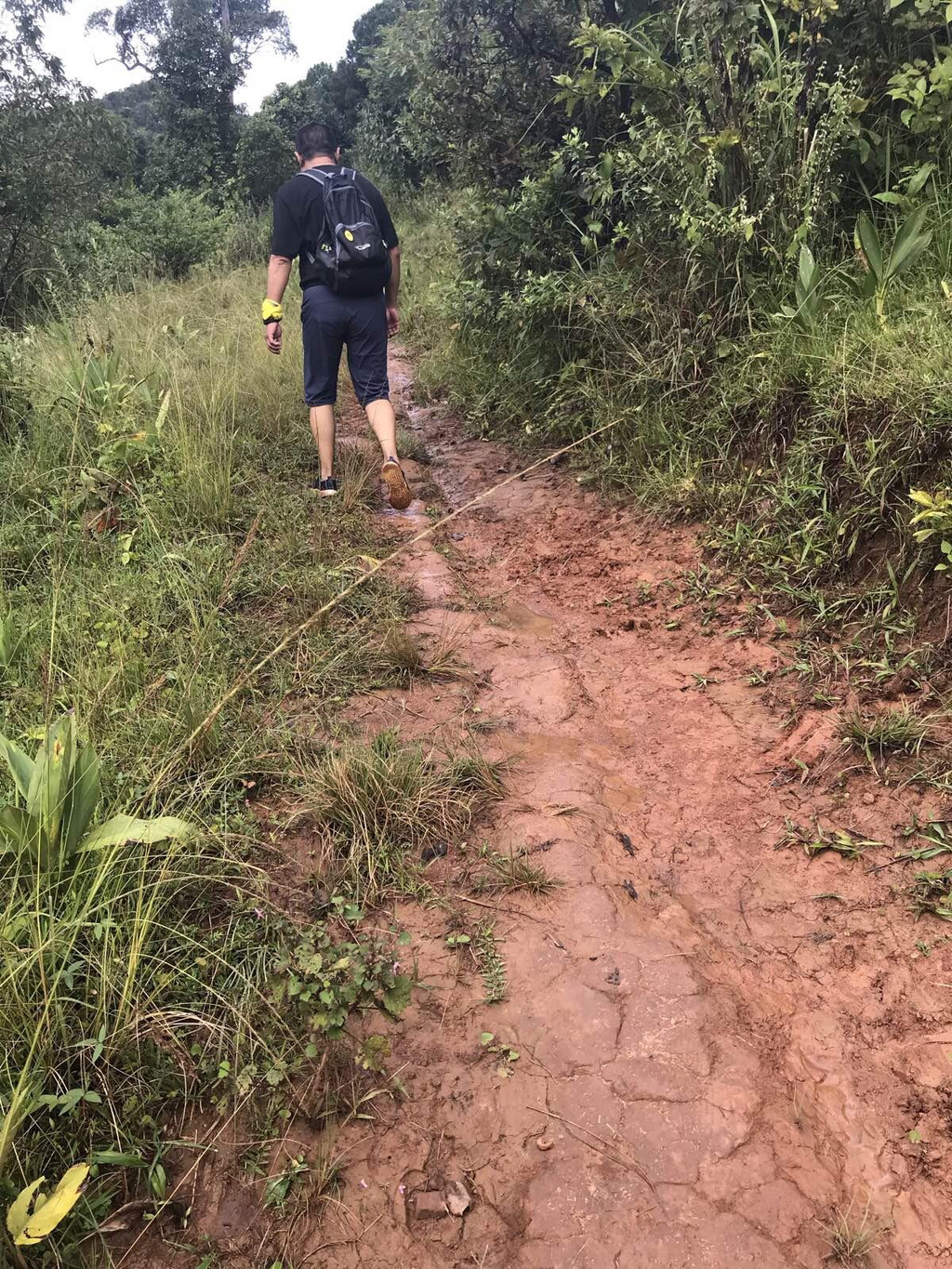                      泥泞的山路