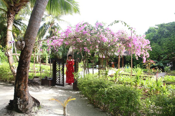 马代婚纱摄影哪家好?我的马尔代夫AKV岛旅拍