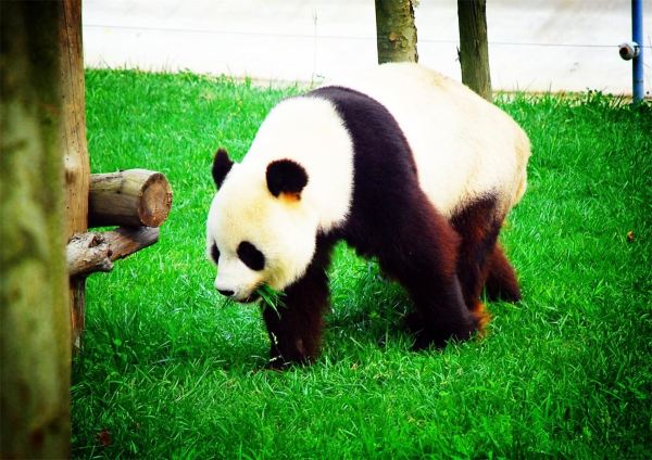 山东威海+栖霞2日1晚跟团游·刘公岛+神雕山