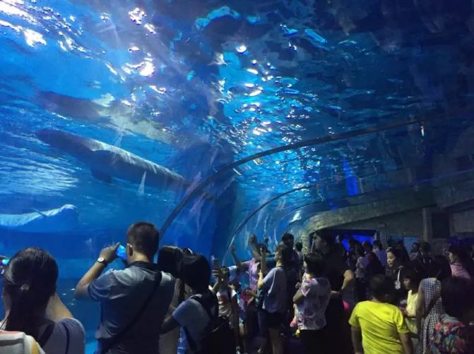 ”给北极熊做下午茶“--正佳极地海洋世界亲子体验游 - 广州游记攻略【携程攻略】