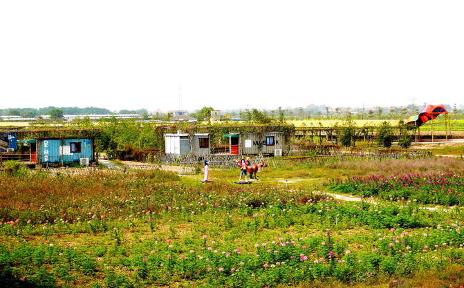 既住房车又住货柜客栈,详记我们丰富的宝苞农场亲子乐