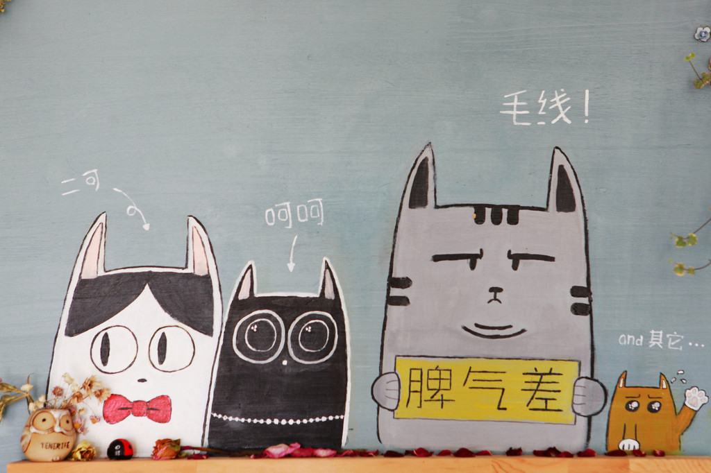 猫咖啡馆可不只日本才有,据我所知青岛就有一家,而且超级清新呆萌,和之前在日本看到的又是完全不同风格。到青岛之前就和朋友打招呼,说让她带我去。果然,她这个咖啡控对此轻车熟路。 于是暑热中的青岛,我们爬上小鱼山的坡道,七拐八绕,终于到心心念念的海边的猫与咖啡馆。店面不算很大,但真的清新且萌,墙绘、玩偶、摆件,搭配生长旺盛的多肉植物,角角落落都是猫元素。如我一般的猫咪控简直爱到不能。 店里有三只肥猫,干干净净,颜值满分。店里人来人往,猫咪也是阅人无数,所以各个都挺拽,我极尽谄媚,它们也爱搭不理,内心说不失落