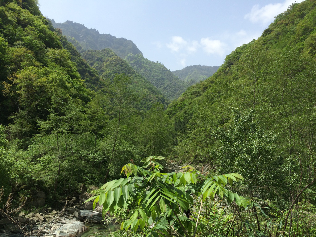 小河沟不是旅游区,是自然保护区,所以人很少