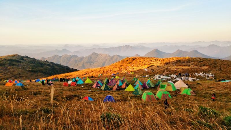 庆元双苗尖苏湖的高山草甸