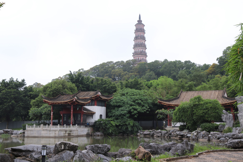 佛山顺德逢简水乡与顺峰山公园