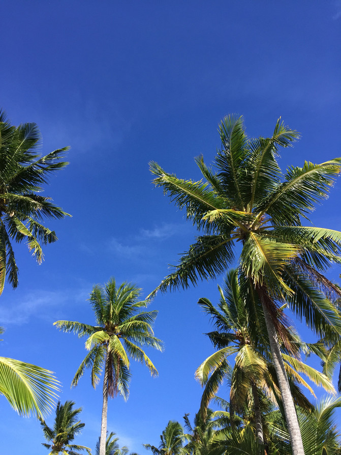 牵手去看海之马尔代夫星宇之岛游记 - 马尔代夫