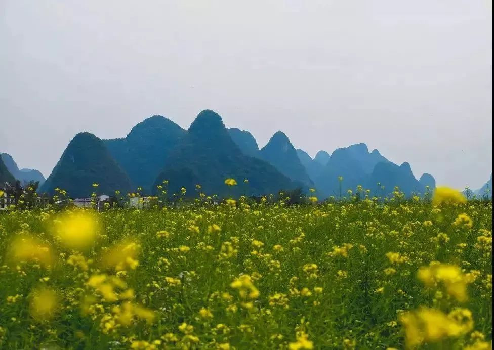 三月桂林,遇见漓江,遇见你