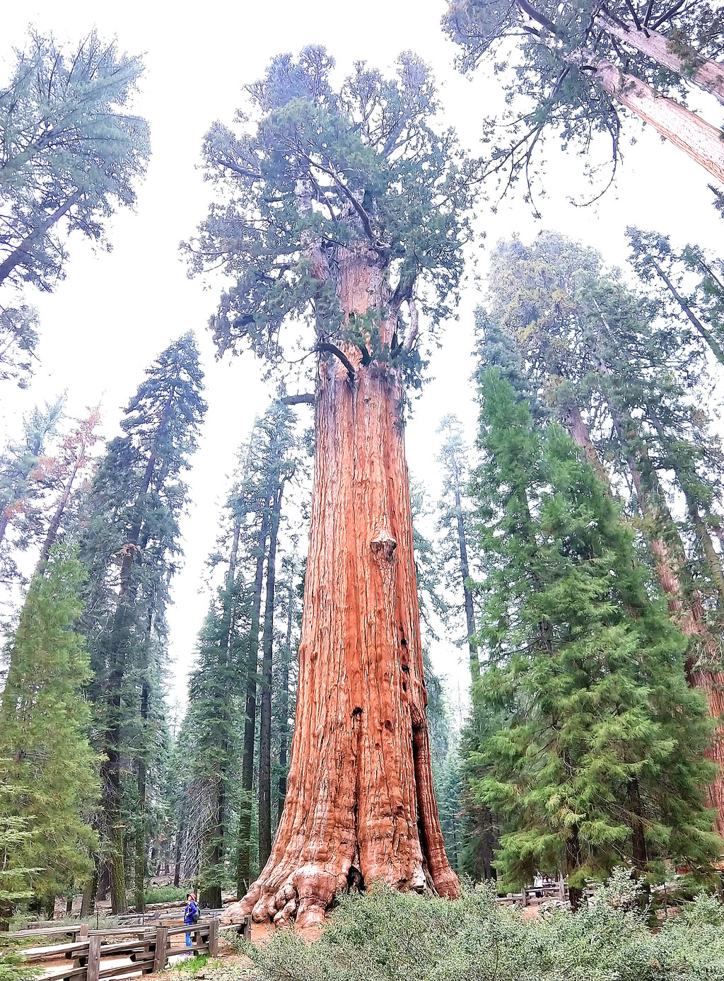 一半是海水,一半千峰百嶂 美国 加州两条神奇的线路(二)