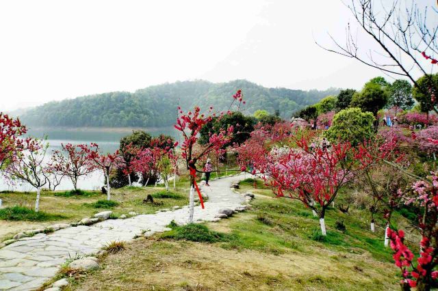 武宁花源谷
