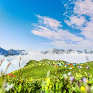 四川九鼎山 花海纯玩户外 徒步 纯玩二日游【九顶山轻徒步-感受花海