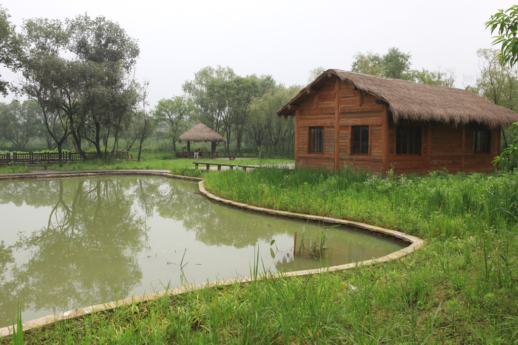 雨的印记:2016年6月8日杭州西溪湿地公园2——西溪湿地中区——烟水渔